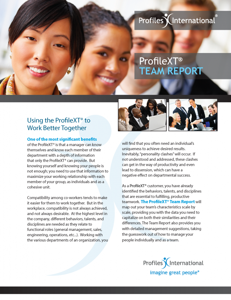 Profile XT Team Report Piedmont Profiles, Inc.